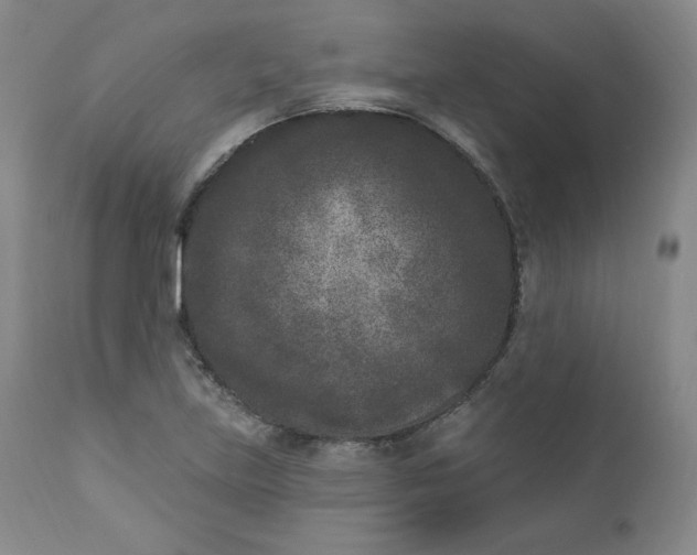 X0000112861219200909041545