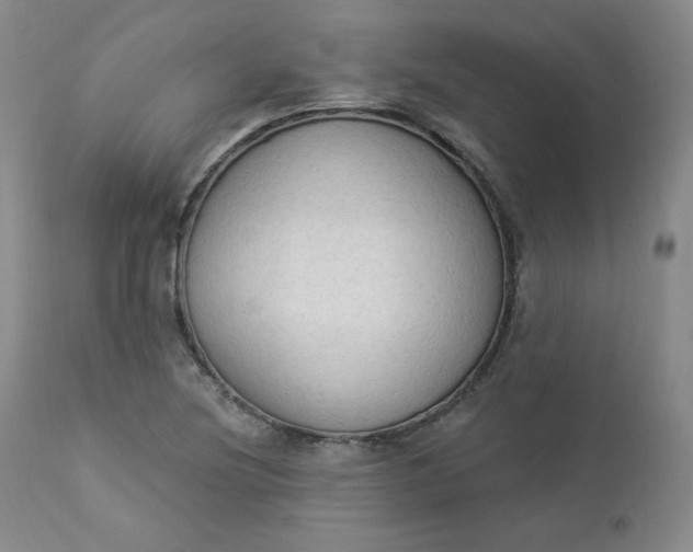 X0000112861220200909041545
