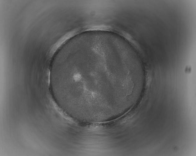 X0000112861221200909041545