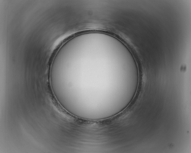 X0000112861222200909041545