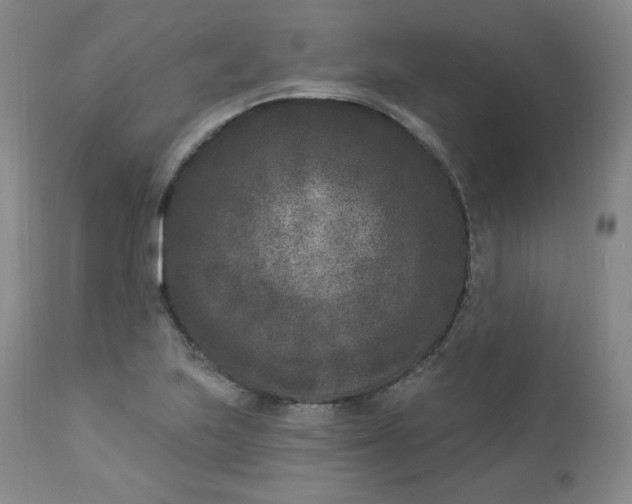X0000112861223200909041545