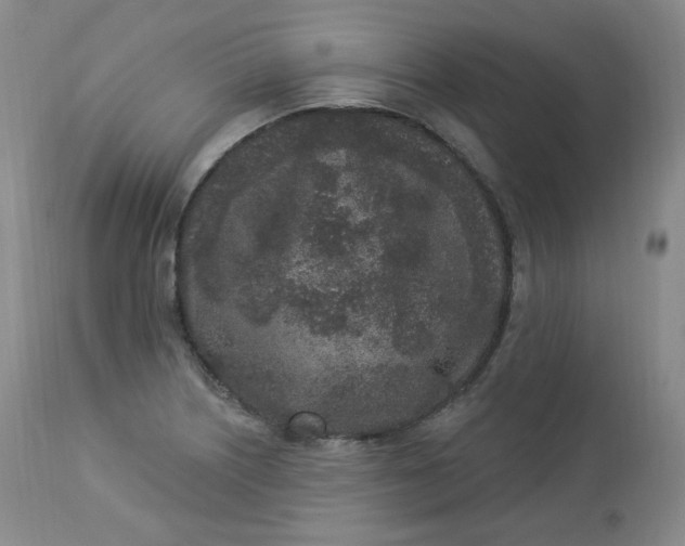 X0000112861226200909041545
