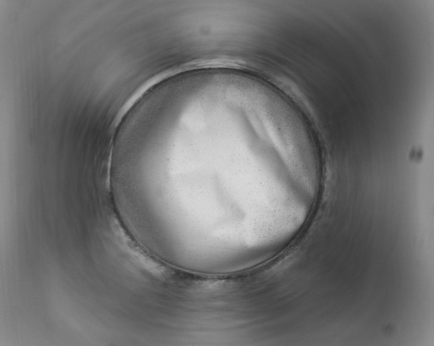 X0000112861228200909041545