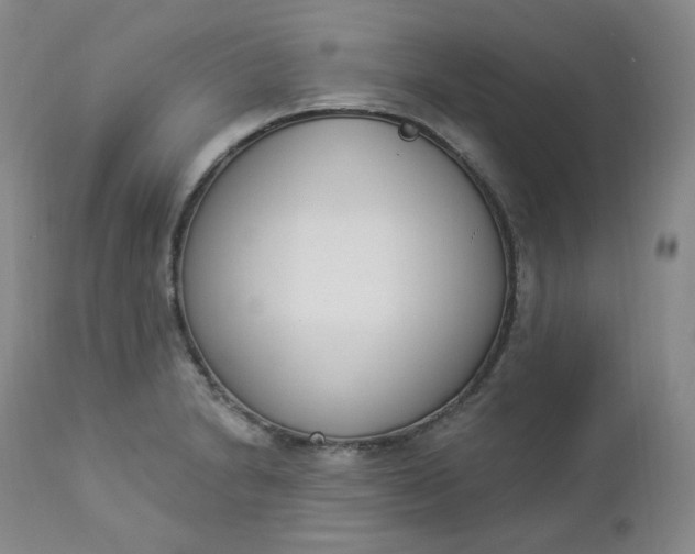 X0000112861230200909041545