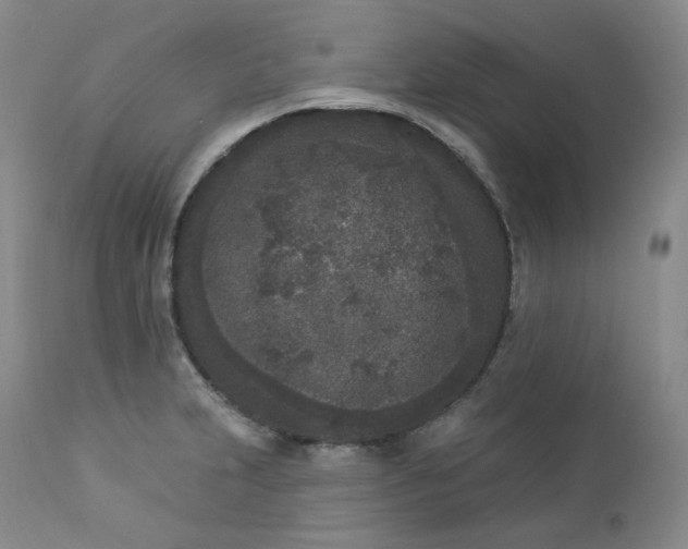 X0000112861231200909041545