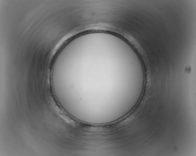 X0000112861232200909041545