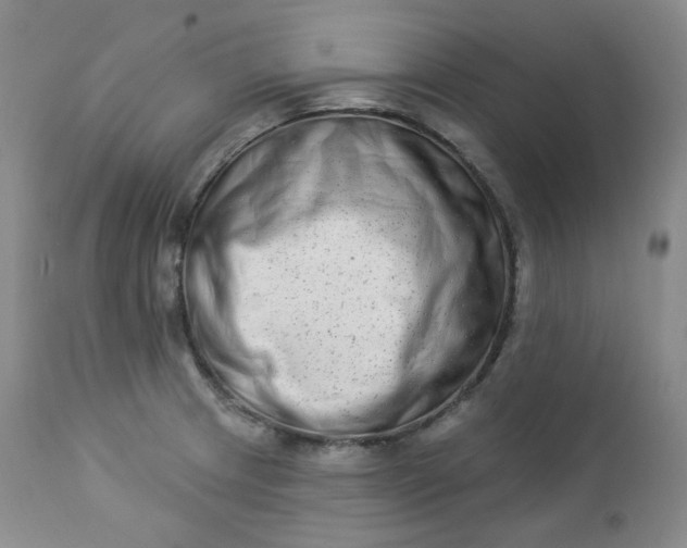 X0000112861233200909041545