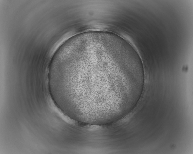 X0000112861235200909041545