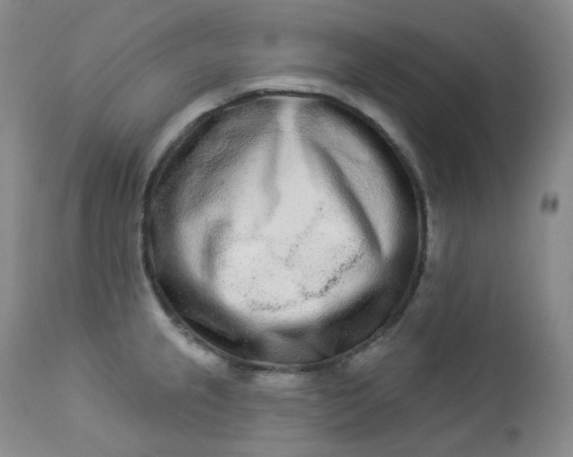 X0000112861237200909041545