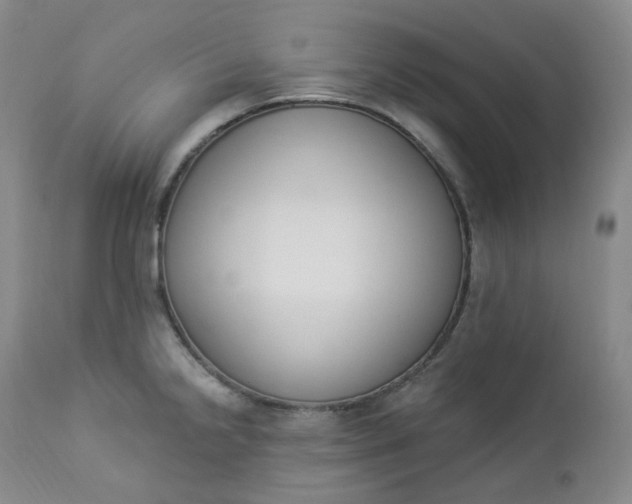 X0000112861238200909041545