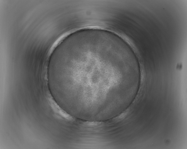 X0000112861240200909041545