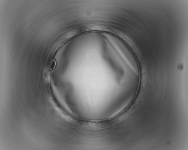 X0000112861241200909041545