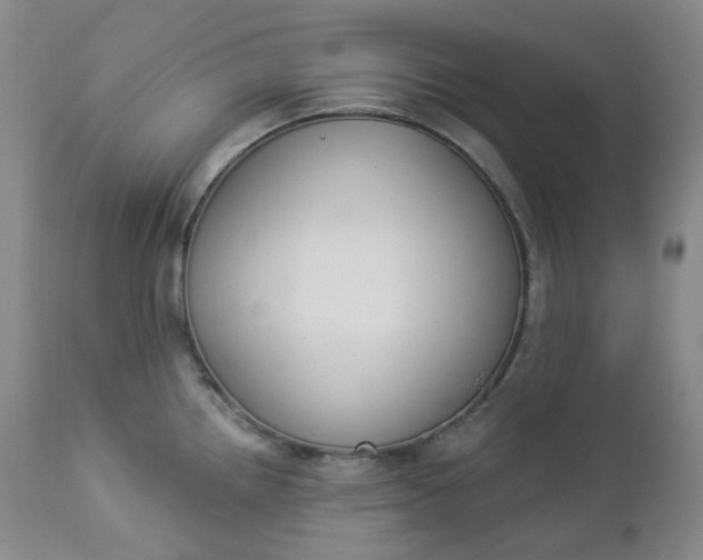 X0000112861242200909041545