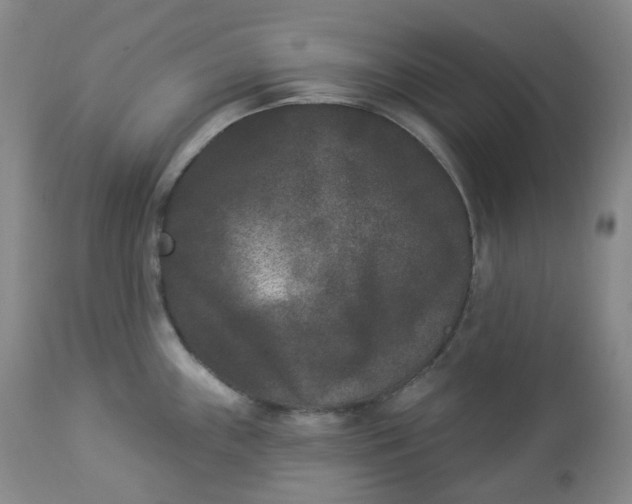 X0000112861243200909041545