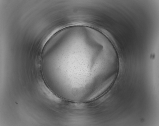 X0000112861244200909041545