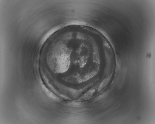 X0000112861245200909041545