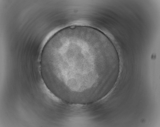 X0000112861248200909041546