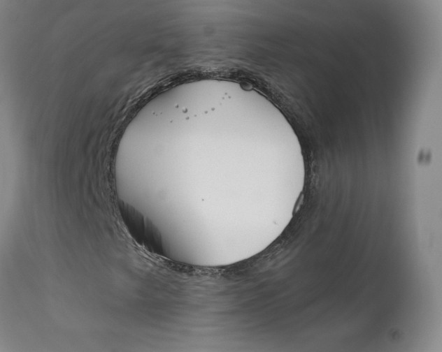 X0000112861249200909041545