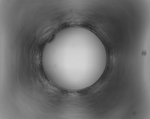 X0000112861250200909041545