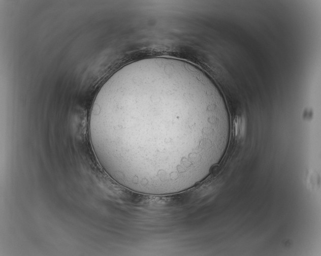 X0000112861251200909041545