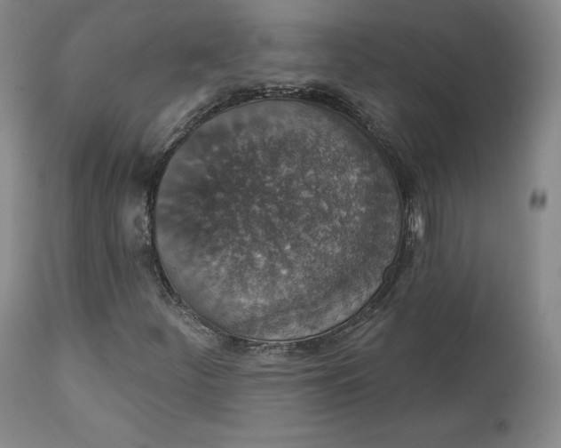 X0000112861252200909041545