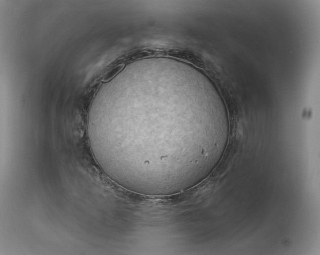 X0000112861253200909041545