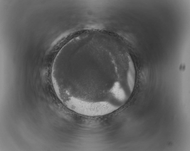 X0000112861254200909041545