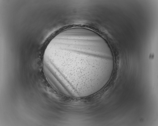 X0000112861256200909041545