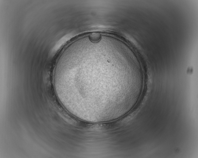 X0000112861259200909041545