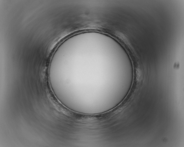X0000112861260200909041545