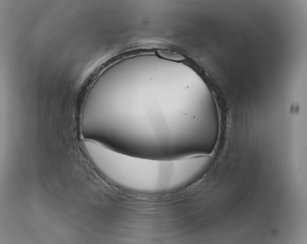 X0000112861261200909041545