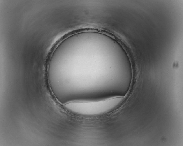 X0000112861264200909041545