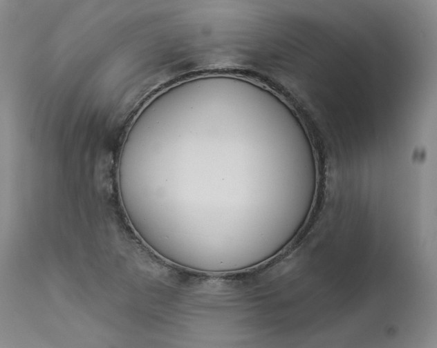 X0000112861265200909041545