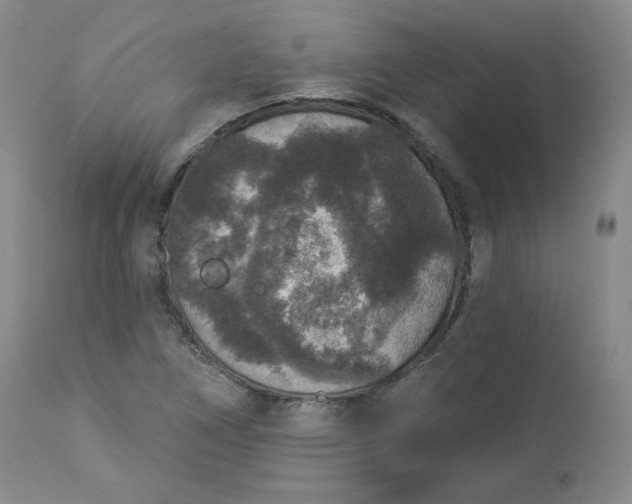 X0000112861266200909041545