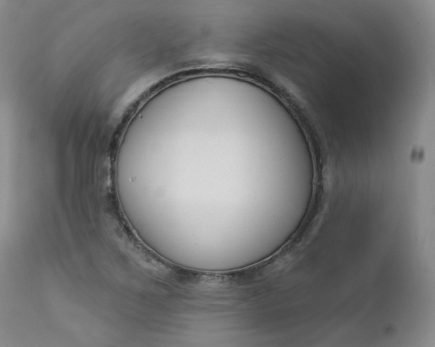 X0000112861267200909041545