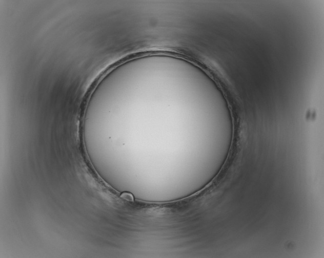 X0000112861268200909041545