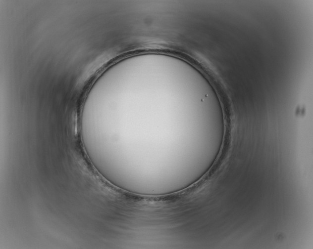 X0000112861269200909041545