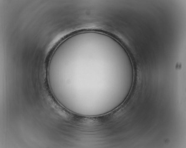 X0000112861270200909041545