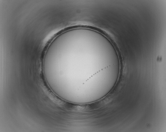 X0000112861271200909041545