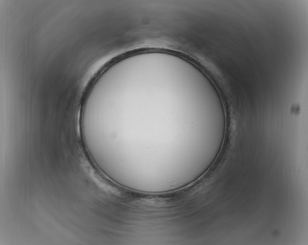 X0000112861272200909041545