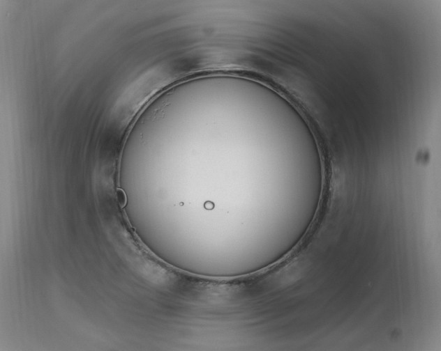 X0000112861273200909041545
