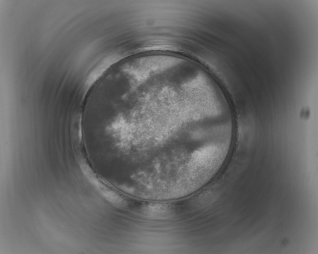 X0000112861274200909041545