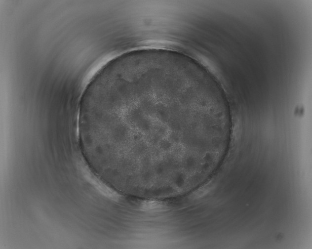 X0000112861275200909041545