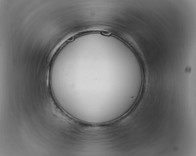 X0000112861276200909041544