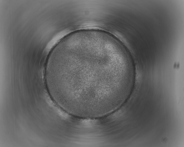 X0000112861277200909041544