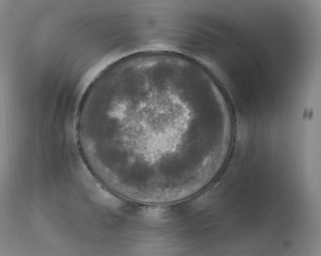 X0000112861278200909041544