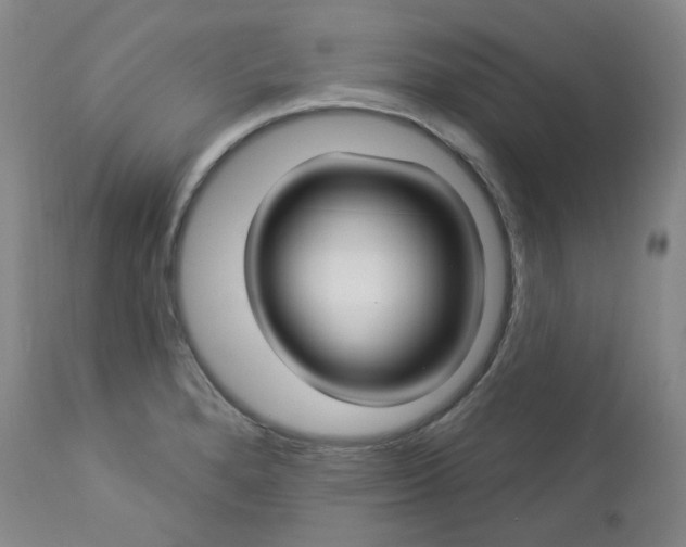 X0000112861280200909041544