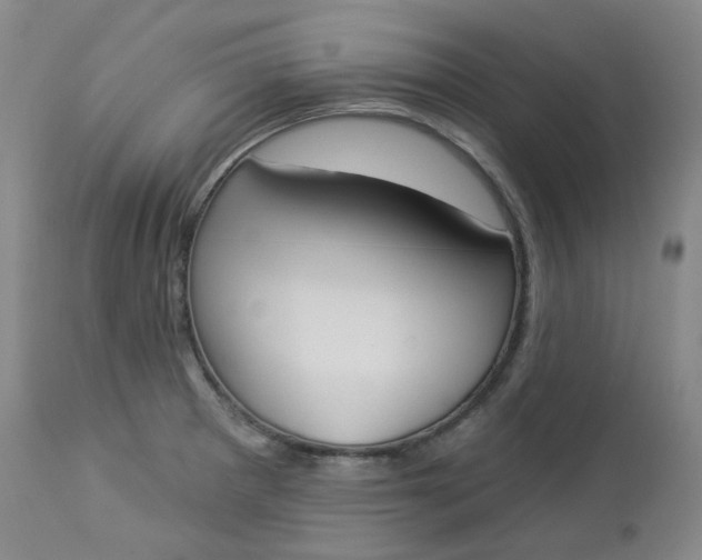 X0000112861281200909041544