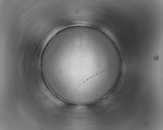X0000112861283200909041544