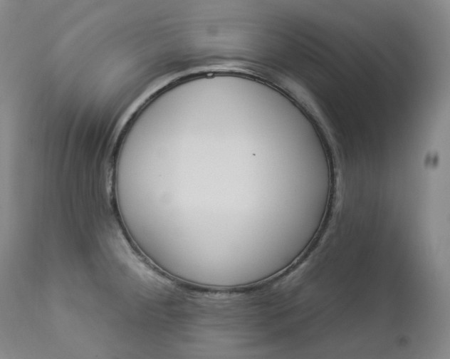 X0000112861284200909041544